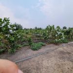  18000m2 - 1