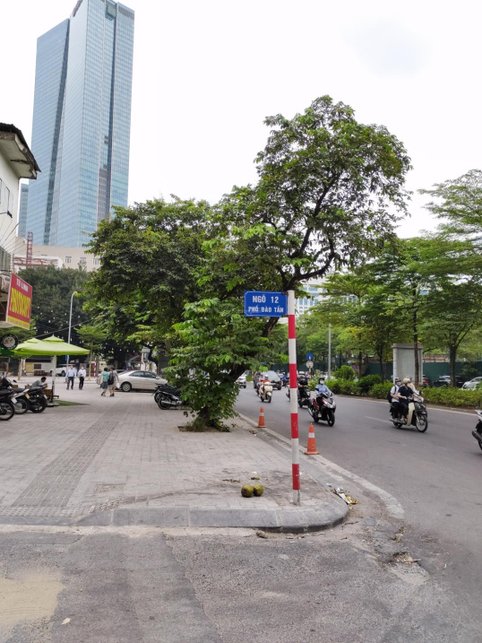 Bán nhà riêng ngõ 12 phố Đào Tấn, Ba Đình, Hà Nội