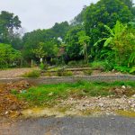  430m2 - 3