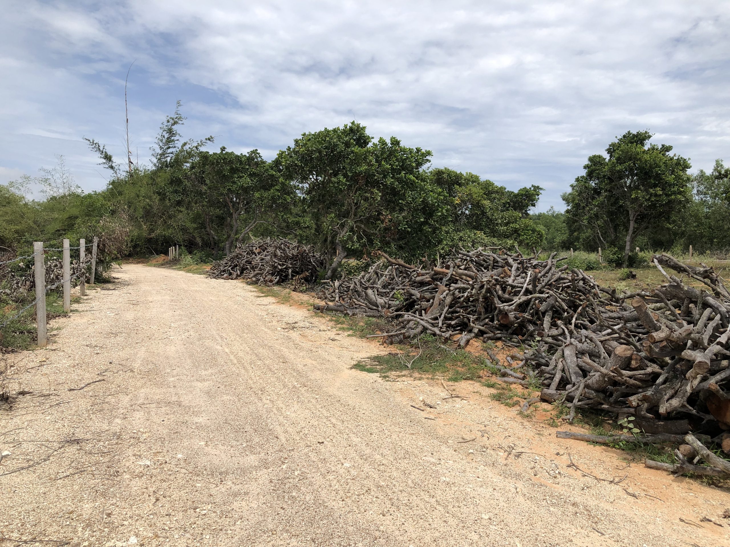 Bán Đất view đẹp Thiện Nghiệp Phan Thiết
