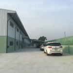 11300m2 - 6