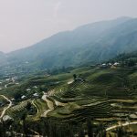  422m2 - 4