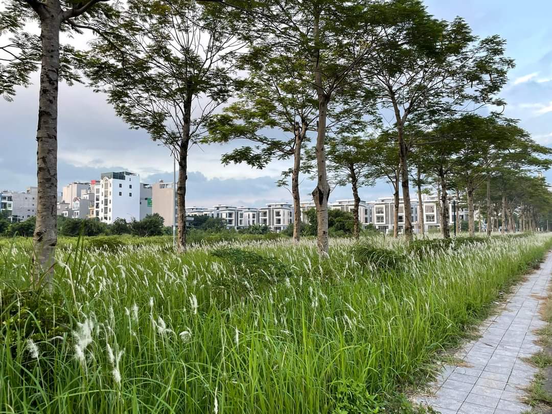 SIÊU PHẨM KDT DƯƠNG NỘI HÀ ĐÔNG PHÂN LÔ ÔTÔ KINH DOANH 50M,5T,MT5M GIÁ 8,5 TỶ