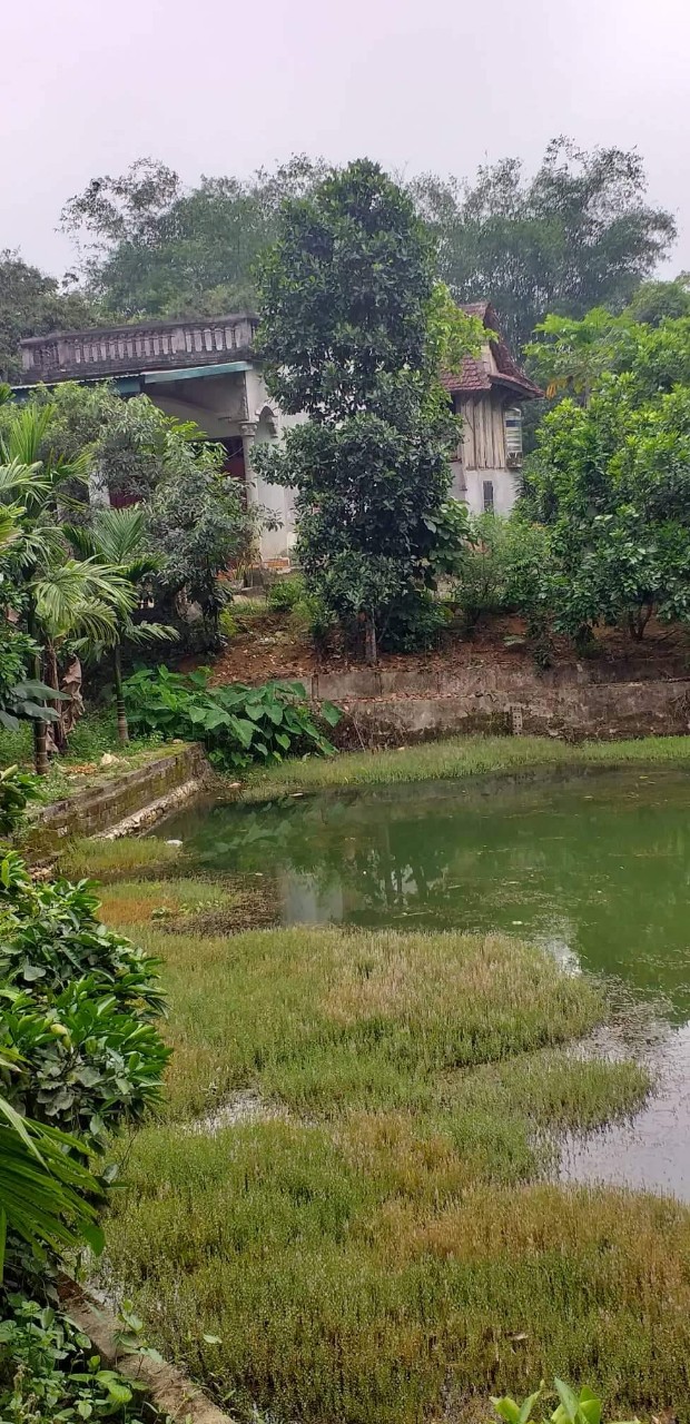 4410m2 fun thổ cư viêw cao thoáng vườn cây ao cá rất đẹp giá rẻ