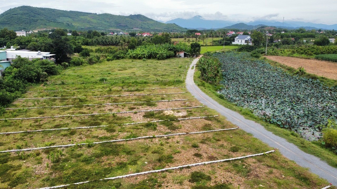  280m2