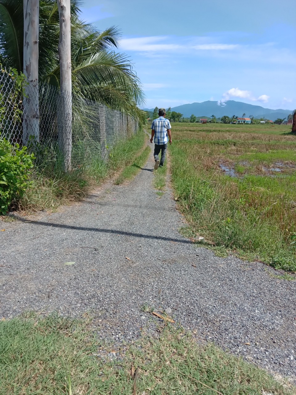 CẦN BÁN ĐẤT NINH TRUNG NINH HÒA KHÁNH HÒA