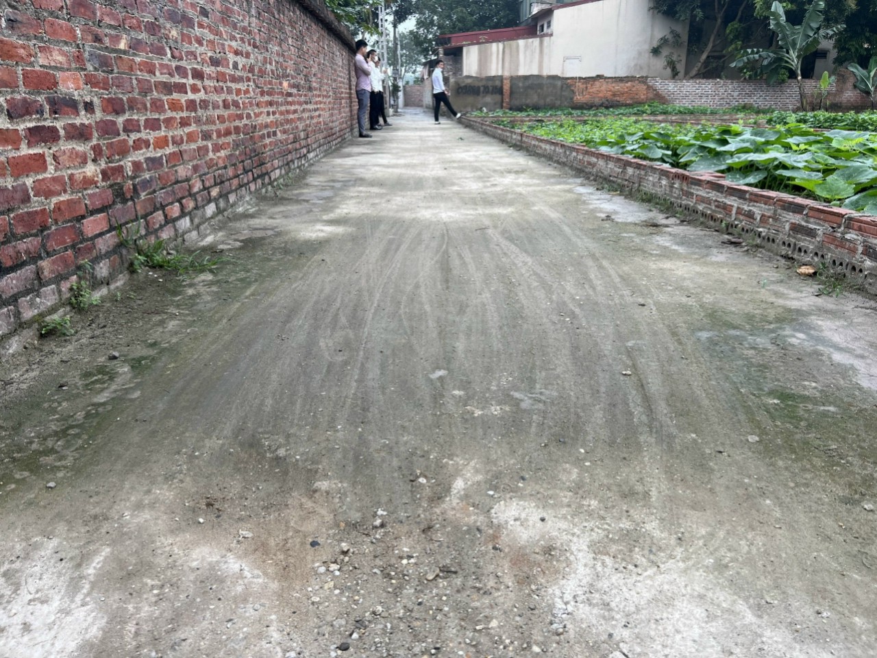  50m2