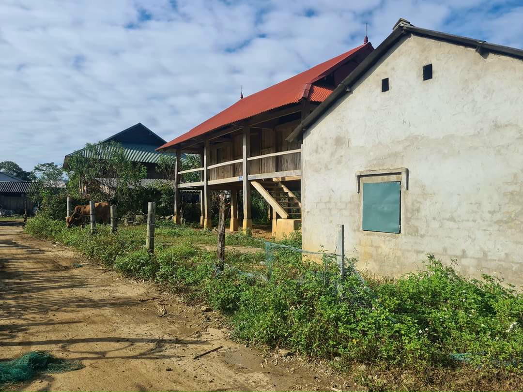 2000m2