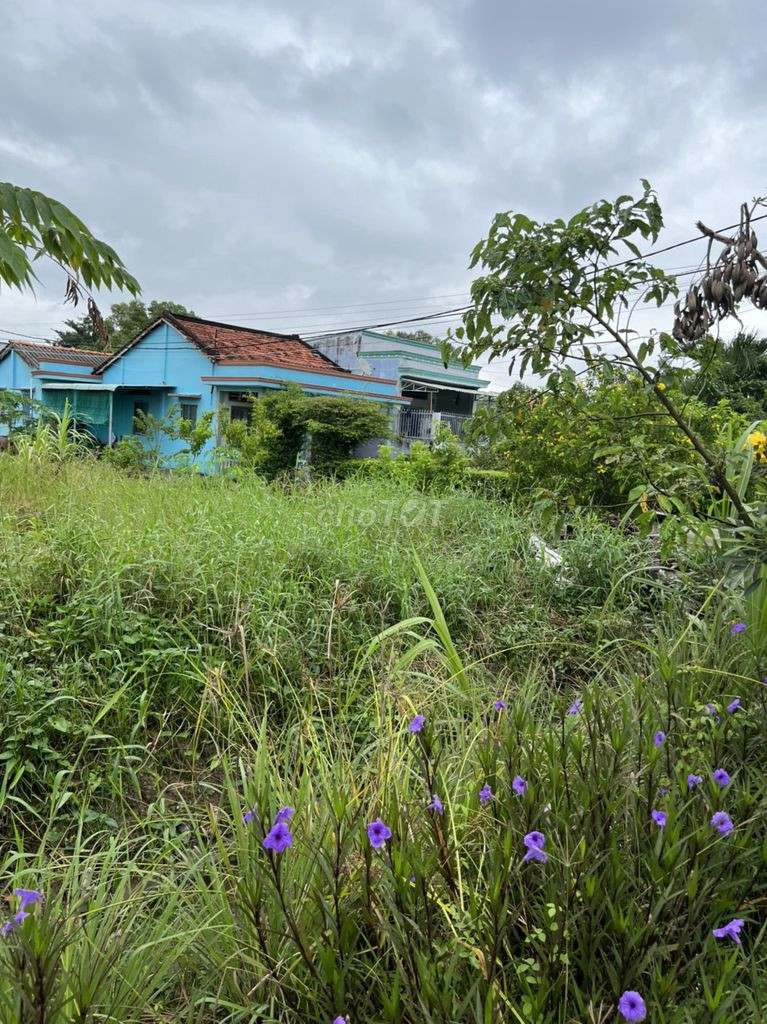 Chính chủ cần bán gấp đất 2 mặt tiền nở hậu ở Tân Quý Tây, Bình Chánh, TP.HCM