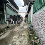 50m2