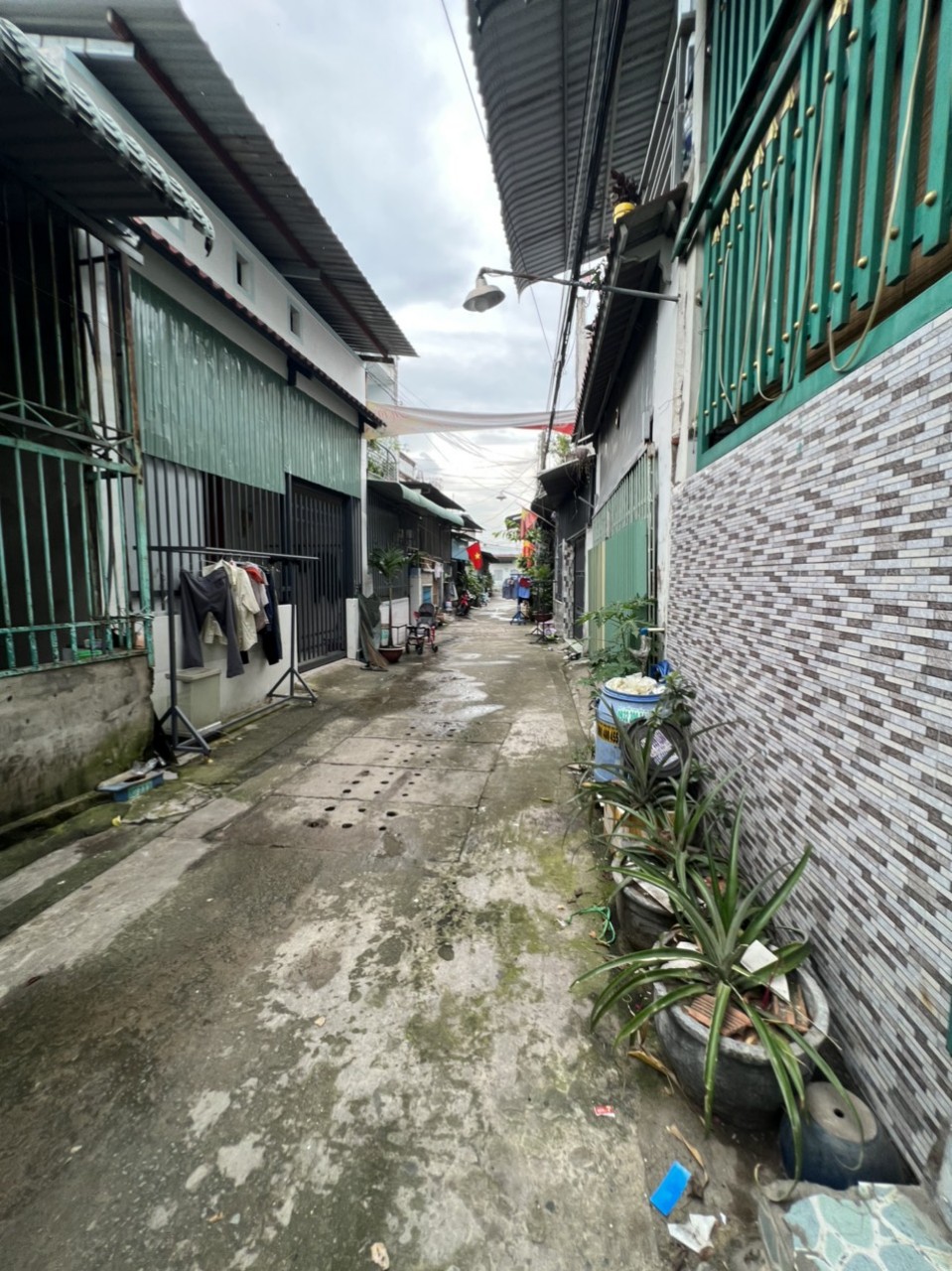 50m2