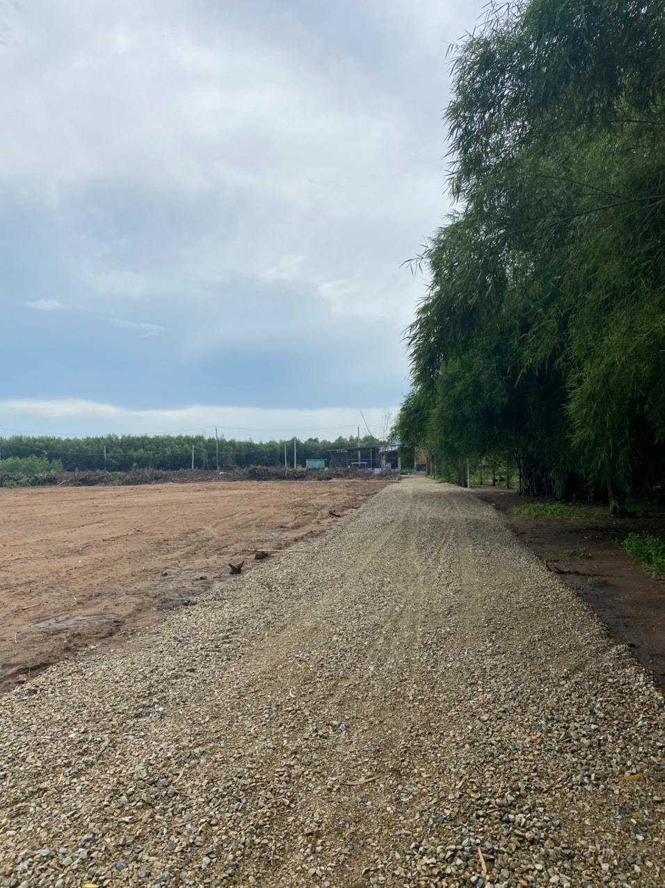 BÁN GẤP ĐẤT HUYỆN ĐẤT ĐỎ, TỈNH BÀ RỊA VŨNG TÀU - 7000m2