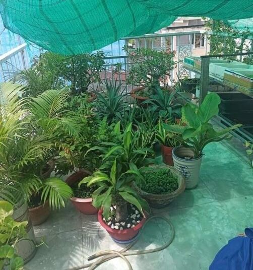  40m2 - 4