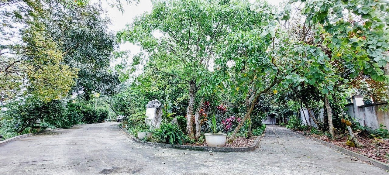 Cần bán gấp biệt thự ở Việt Trì, Phú Thọ tổng diện tích 3.300m2
