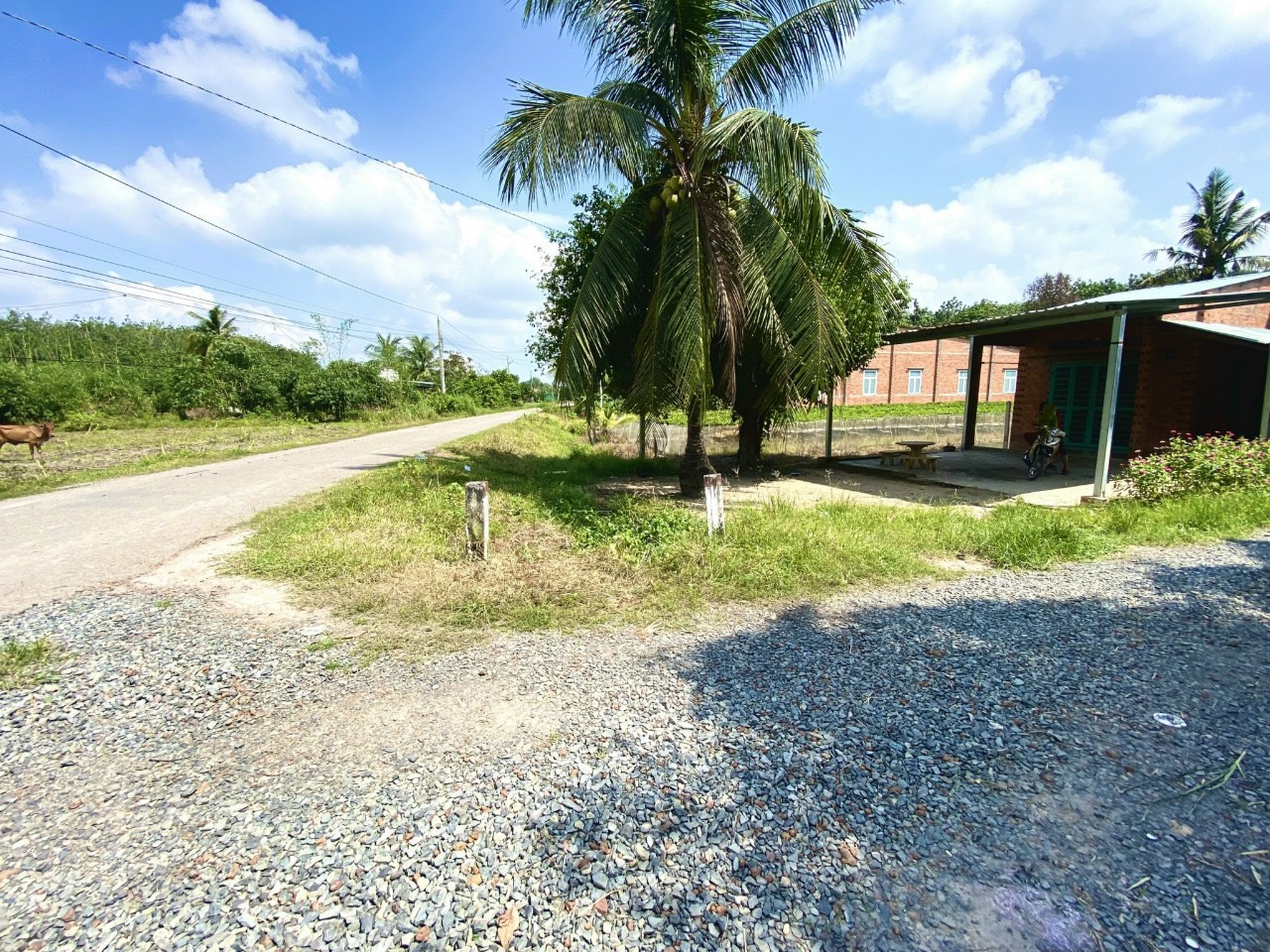 Kẹt Tiền Bán Nhanh Trong Tuần 650tr Xuống Còn 590tr