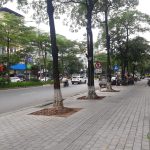  41m2 - 1
