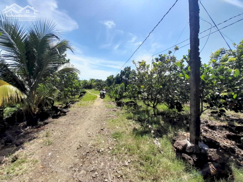 Đất nghỉ dưỡng Tân Phú, Đồng Nai 6,6 sào cần bán trong tháng. Giá siêu mềm so với khu vực.