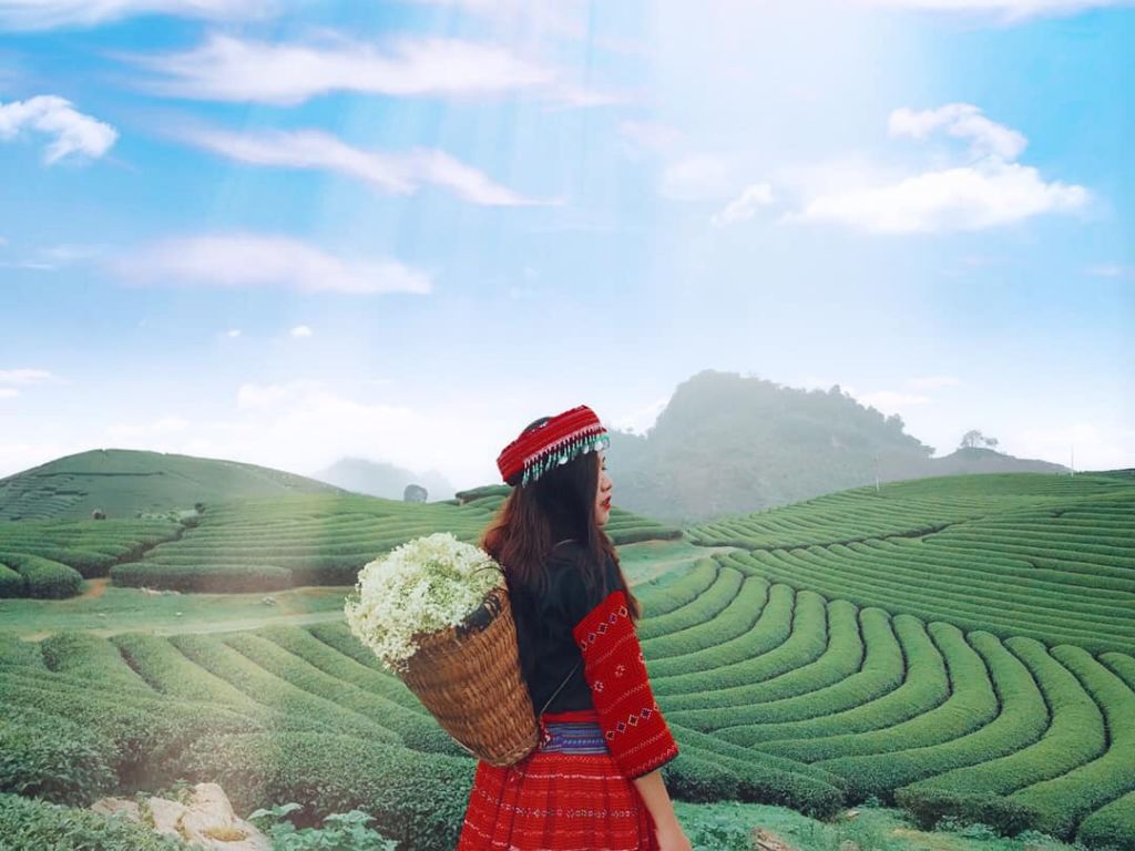 Cao tốc Hòa Bình-Mộc Châu bán 600m Vườn Đào,TTNT Mộc Châu ,SĐCC,Gía đầu tư.