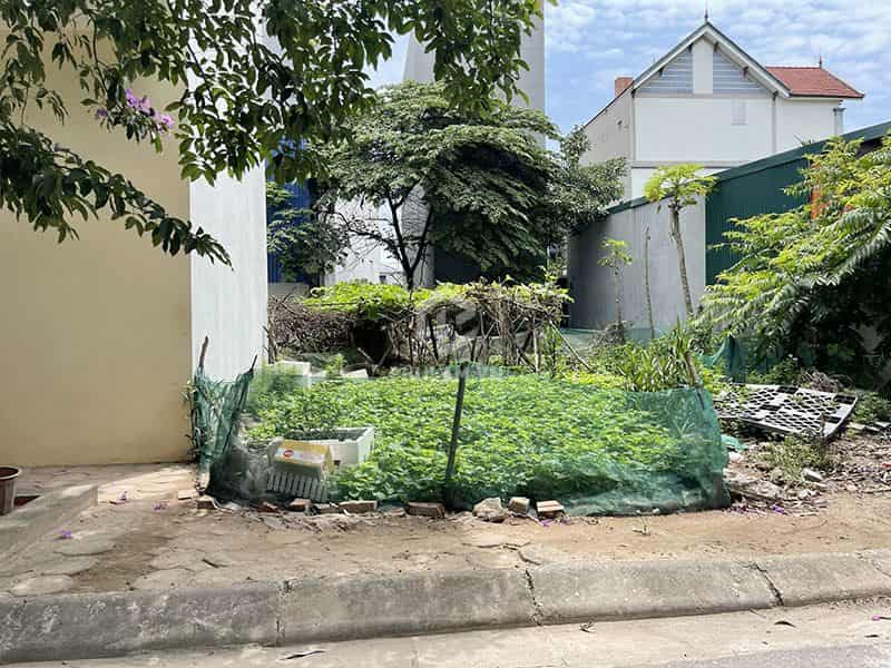 Chính chủ bán gấp 120m2 TĐC Đông Dư. Giá đang rẻ nhất khu vực này