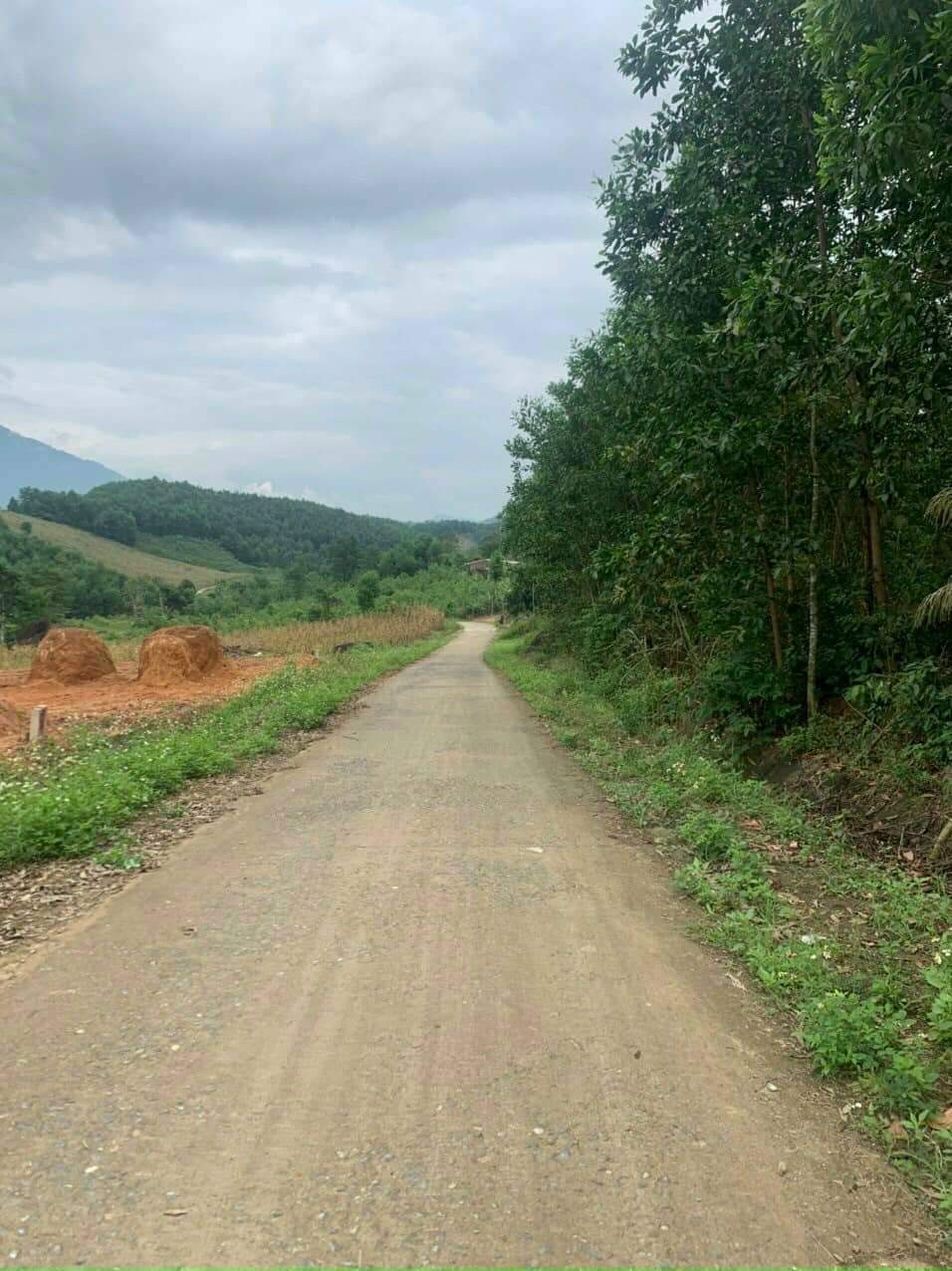 Đất CLN Khánh Vĩnh, Khánh Hòa_4135m²