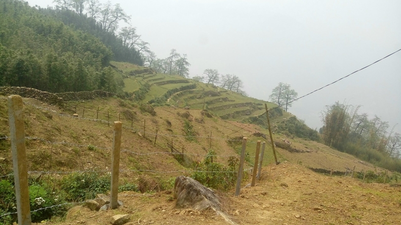 BÁN ĐẤT TẢ PHÌN SAPA GIÁ RẺ VIEW THUNG LŨNG MÂY LÀM HOMESTAY