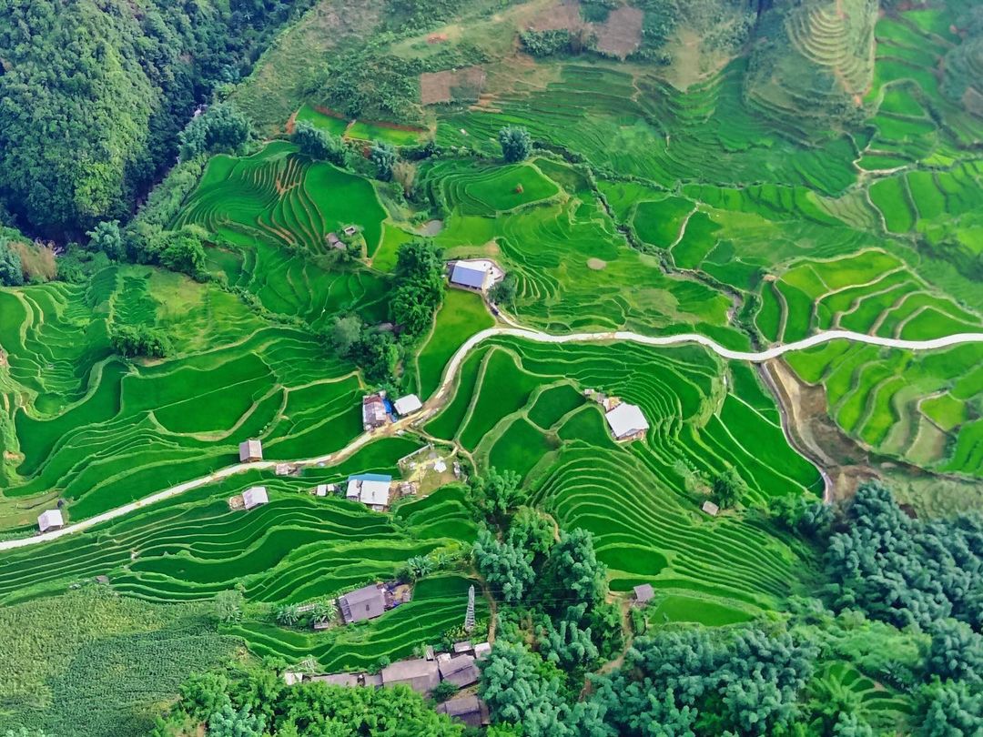 1000m2