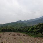  8300m2 - 3