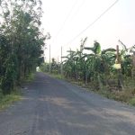  640000m2 - 4