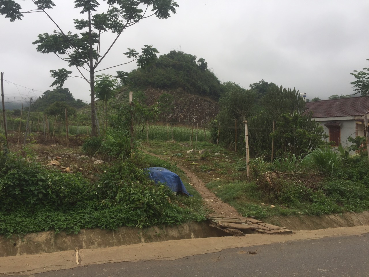 Bán đất Mộc Châu giá rẻ thích hợp đầu tư kinh doanh sinh lời