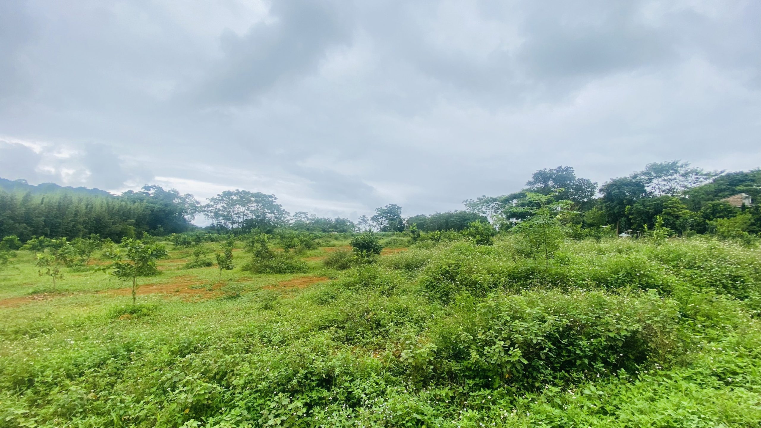 Bán gấp siêu phẩm Thung Mường có DT 8000m2 có 400m2 thổ cư nằm giữa 3 dự án