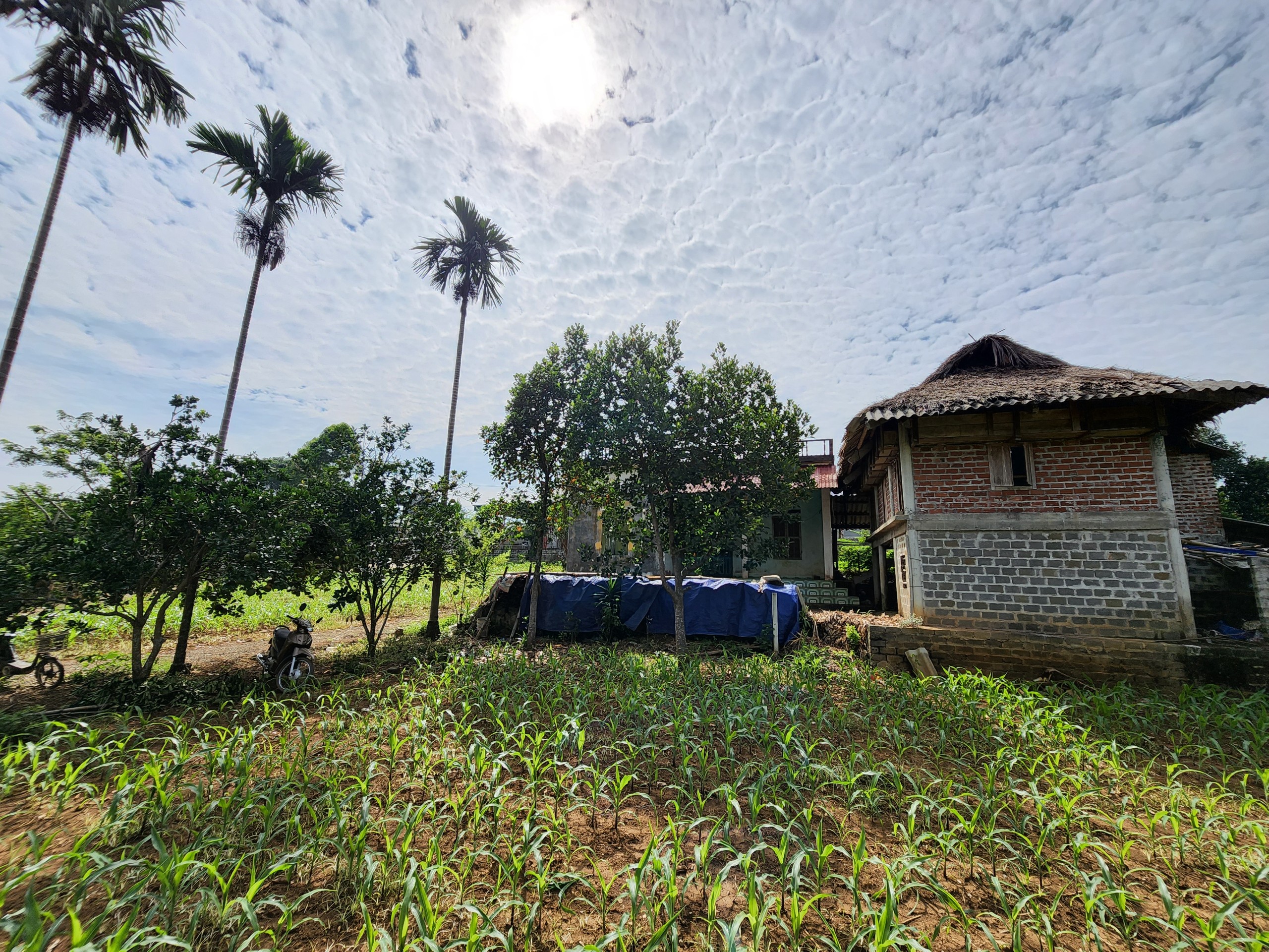 Lô đất đẹp sẵn nhà 1883m2 có hẳn 800m thổ cư tại Cao Phong Lô đất phù hợp cho gia đình