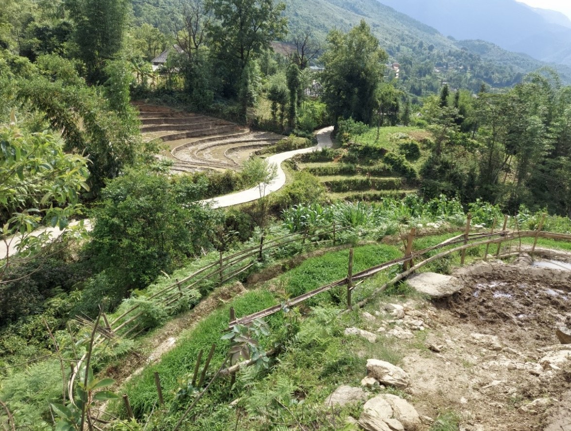 Bán đất Sa Pa 1000m có thổ cư 3 tỷ làm homestay