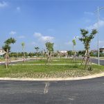  100m2 - 5