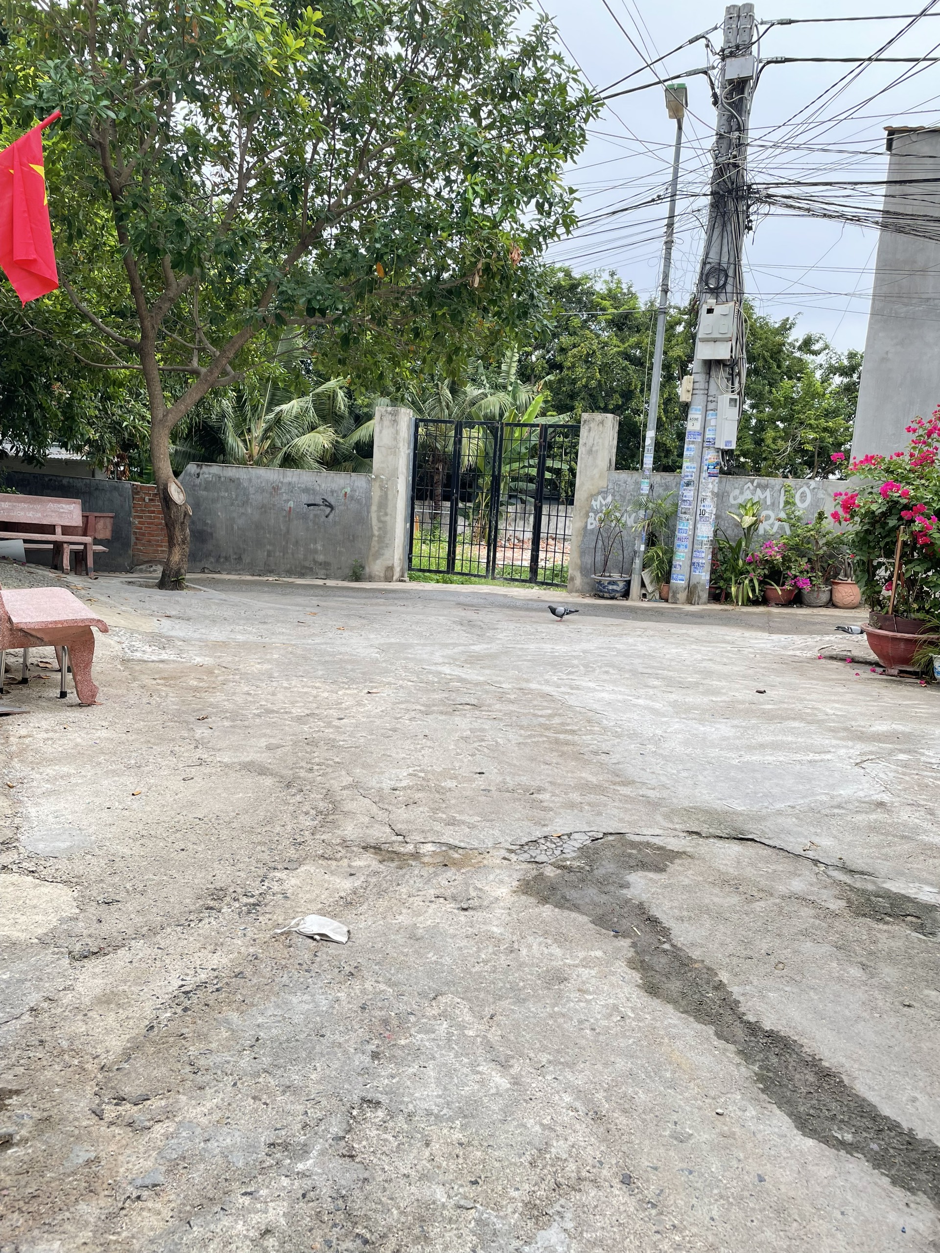 BÁN GẤP nhà 2 mặt hẻm oto sau chung cư Bình Phú, P. Vĩnh Hoà, Tp. Nha Trang diện tích 90m2 đất vuông vức đẹp