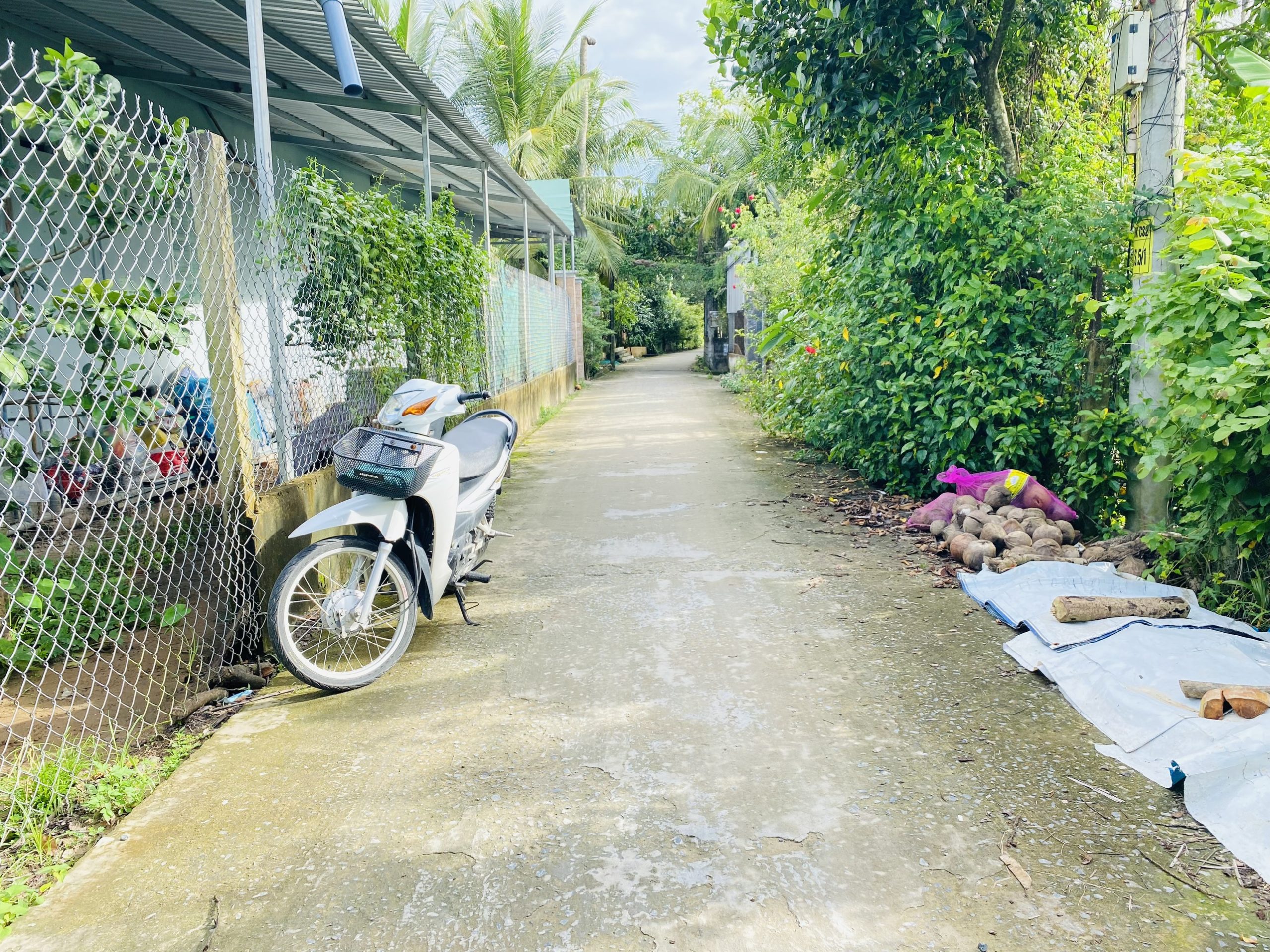 Bán nhanh đất nền thổ cư đẹp tại ấp 4 Đạo Thạnh Tp. Mỹ Tho Tiền Giang