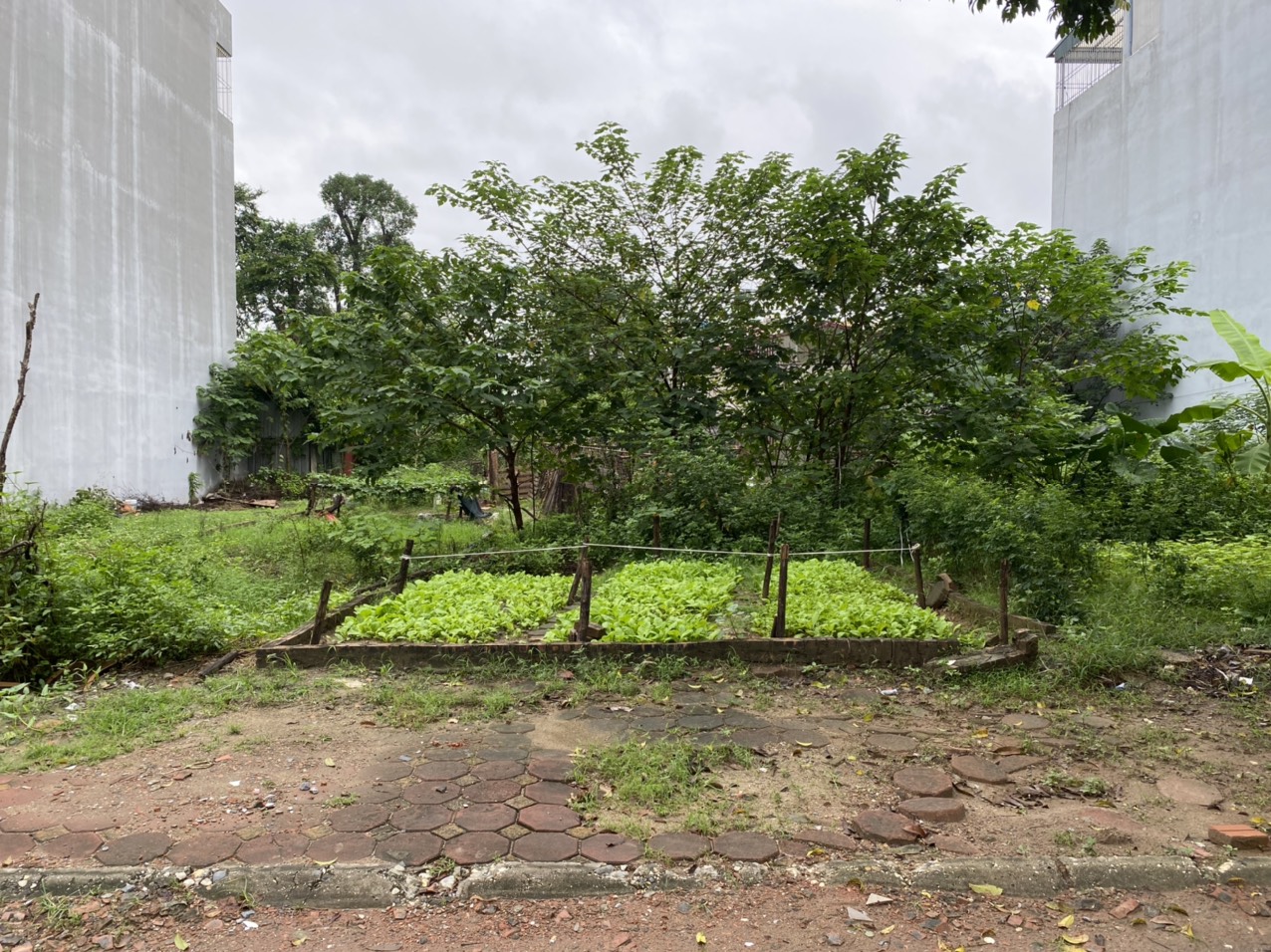 Cần thanh khoản nhanh lô đất nằm trong dãy BT4D khu đấu giá phường Phúc Lợi, Long Biên