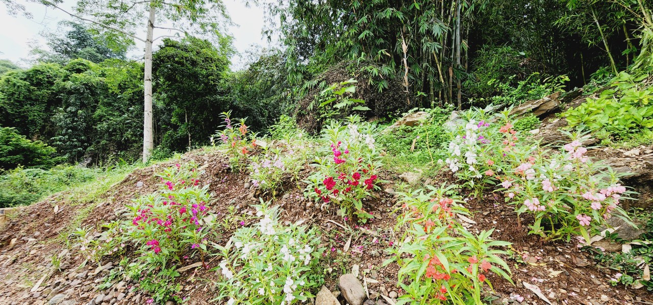 CẦN TIỀN BÁN GẤP GIÁ RẺ CHO QUÝ NĐT