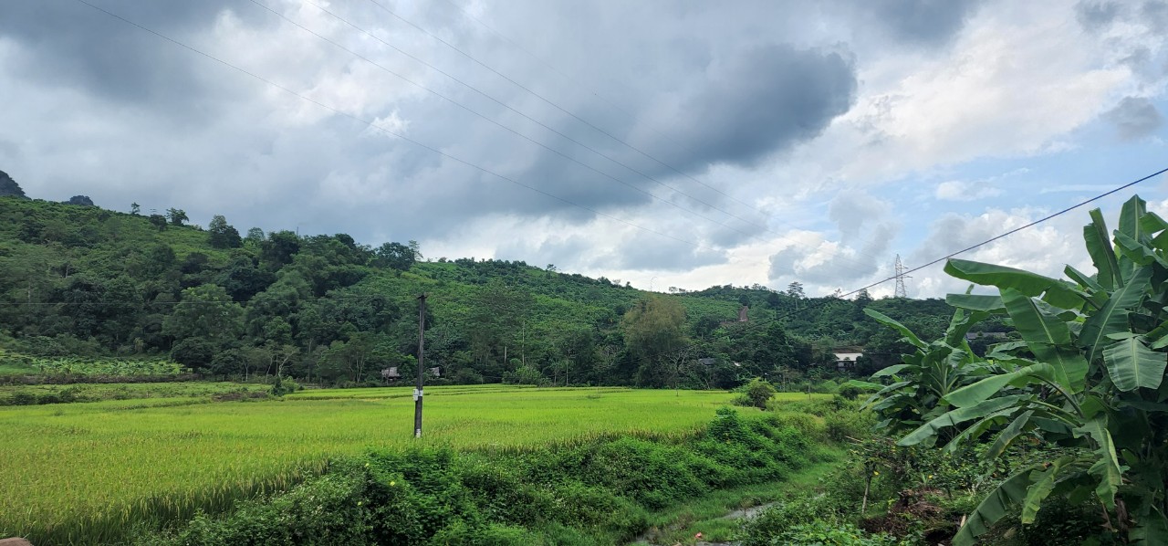 CHỦ NHÀ CẦN TIỀN CHO CON ĐI HỌC ĐẠI HỌC BÁN GẤP