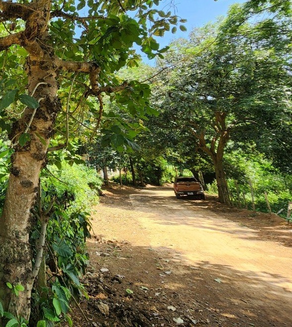 Mảnh đất6 lý tưởng sát đường, gần hồ nước Với diện tích lên tới 1000m2 , có 108m ONT, sẵn sổ Gần uỷ ban, trường