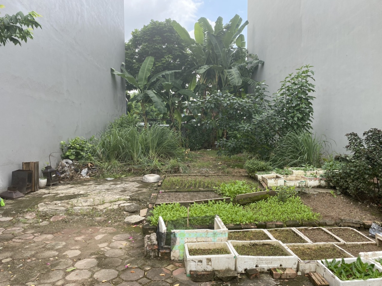 Cần tiền giảm giá bán nhanh lô đất nằm tại trung tâm khu tái định cư Trâu Qùy, Gia Lâm