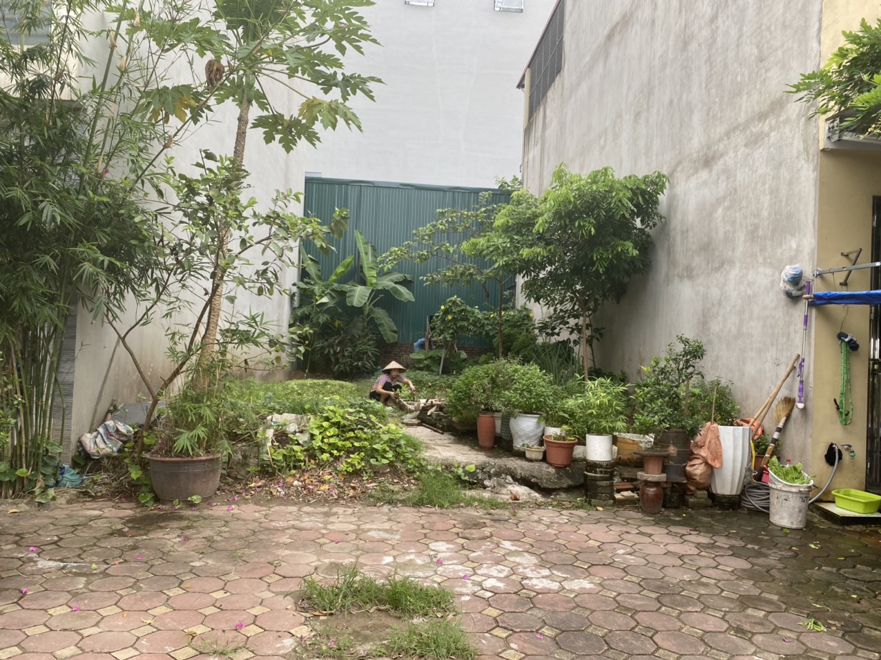 Cần bán gấp lô đất giáp góc View cánh đồng tại trung tâm khu tái định cư Giang Biên, Long Biên