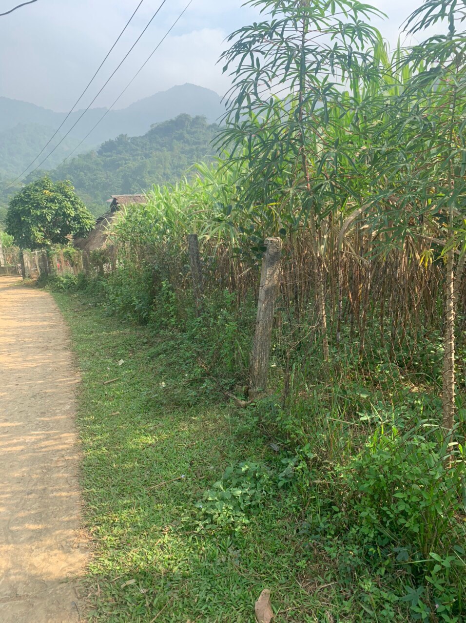 Cao Phong các NĐT gửi trọn niềm tin Diện tích :3984m trong đó 1300m2 ont