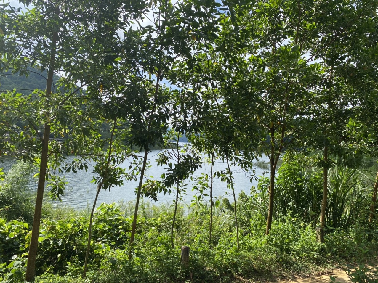 Siêu phẩm nghỉ dưỡng ôm trọn lòng hồ Hoà Bình cạnh các khu nghỉ dưỡng đang hoạt động