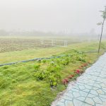  1000m2 - 1