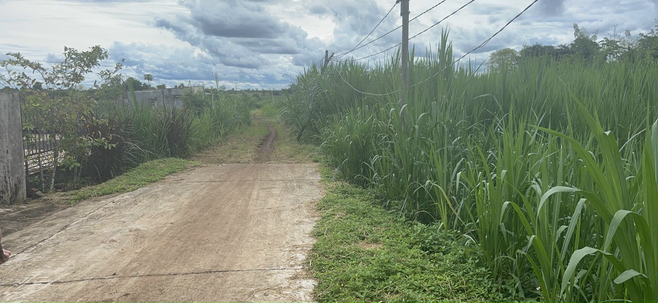 5 lô Đất - Thổ Cư Sổ Sẵn Giá F0 Dalak