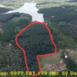  46000m2 - 3
