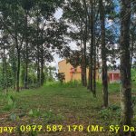  46000m2 - 6