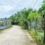  100m2 - 1