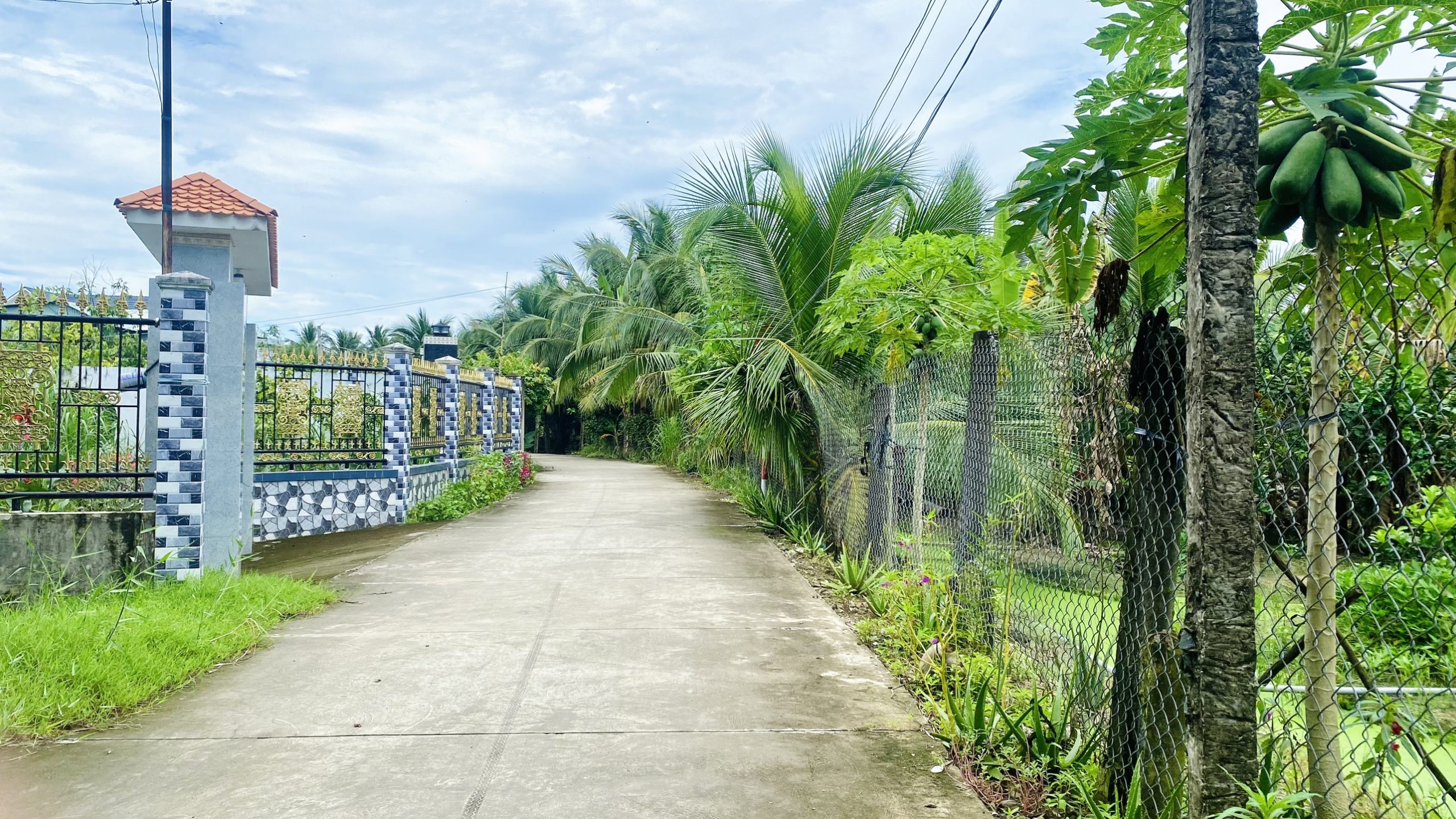 Cần bán 2 nền đất đẹp liền kề tại Mỹ Phong Tp. Mỹ Tho Tiền Giang