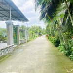  100m2 - 3